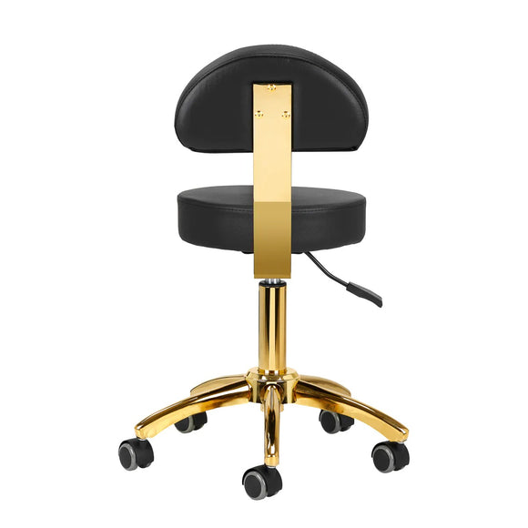 Activ AM-304G Gold Black Grooming Chair – Adjustable Height, Removable Backrest, Gold Finish