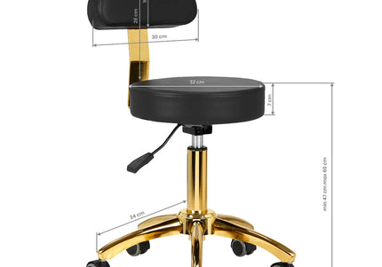 Activ AM-304G Gold Black Grooming Chair – Adjustable Height, Removable Backrest, Gold Finish