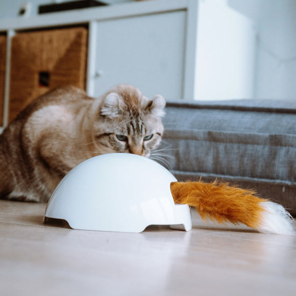 PetSafe Fox Den Automatic Cat Teaser – Interactive Motion Toy with Realistic Fox Tail