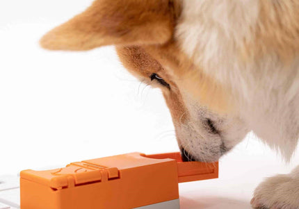 Pawzler Maya Dog Puzzle Module – Level 3 Bonus Block, Durable Interactive Enrichment Toy