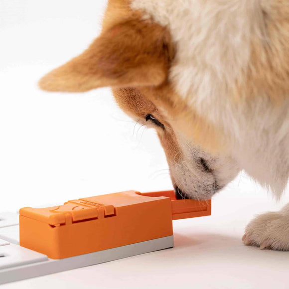 Pawzler Maya Dog Puzzle Module – Level 3 Bonus Block, Durable Interactive Enrichment Toy