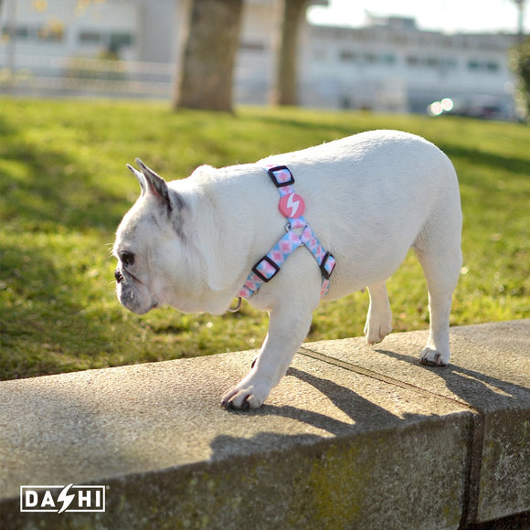 Dashi Coral Front Harness – Norwegian No-Pull Dog Harness, Pink Circle Pattern, Large Size