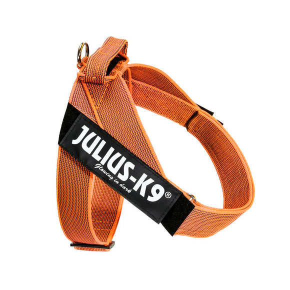 Julius-K9 IDC Color&Gray Belt Harness Orange – Adjustable Lightweight Mini-Mini Dog Harness