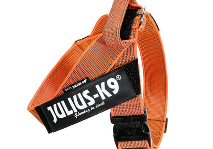 Julius-K9 IDC Color&Gray Belt Harness Orange – Adjustable Lightweight Mini-Mini Dog Harness