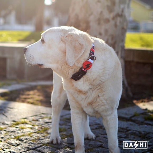 Dashi Slide Collar – Striped Pattern Adjustable Dog Collar, Medium Size, Durable Design