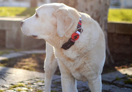 Dashi Slide Collar – Striped Pattern Adjustable Dog Collar, Medium Size, Durable Design