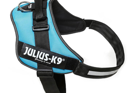 Julius-K9 IDC Powerharness Aquamarine – Premium Turquoise Harness, Adjustable, Size 1