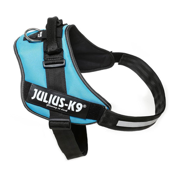 Julius-K9 IDC Powerharness Aquamarine – Premium Turquoise Harness, Adjustable, Size 1