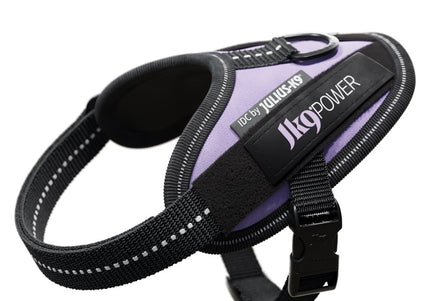 Julius-K9 IDC Powerharness Purple – Premium Adjustable Harness, Size 3, Durable Design