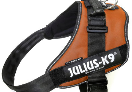 Julius-K9 IDC Powerharness UV Orange – Premium Adjustable Harness, Size 4, High-Visibility Design