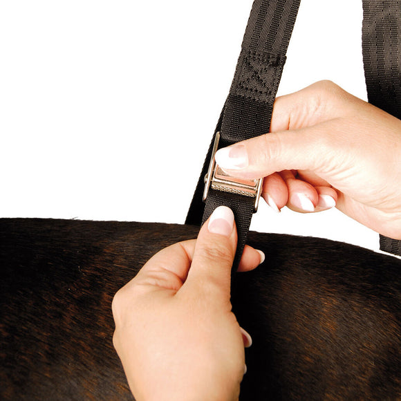 Show Tech Grooming Noose Set – Heavy-Duty Adjustable Nylon Leashes, 2.5cm Wide, 3 Pack