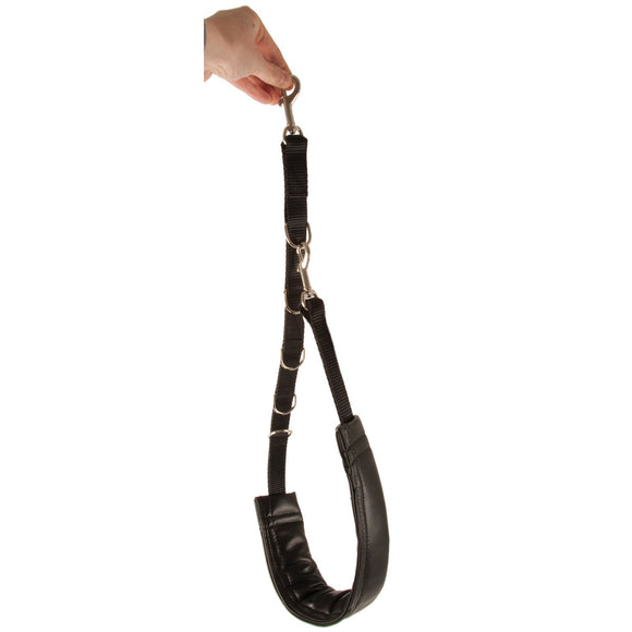 Show Tech Comfort Bellyband Big – Large Ergonomic Back Support Belt with Soft Padding