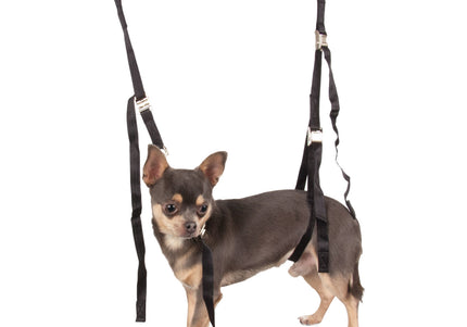 Show Tech Grooming Noose Set Mini – Adjustable Nylon Leashes, 1.5 cm Wide, Secure Fit