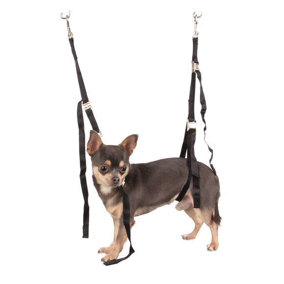 Show Tech Grooming Noose Set Mini – Adjustable Nylon Leashes, 1.5 cm Wide, Secure Fit