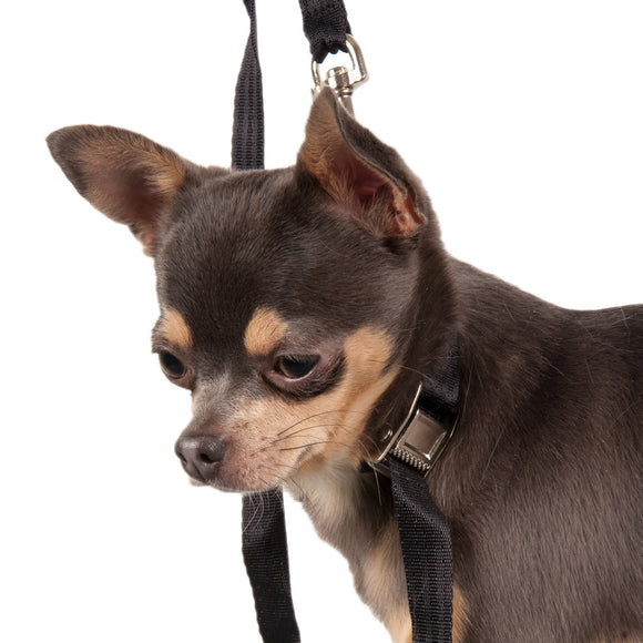 Show Tech Grooming Noose Set Mini – Adjustable Nylon Leashes, 1.5 cm Wide, Secure Fit