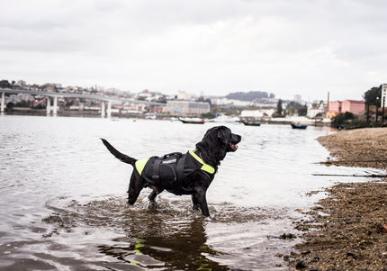 Julius-K9 Multifunctional Neon Vest – Lightweight Swimming and Rehabilitation Support, Size S