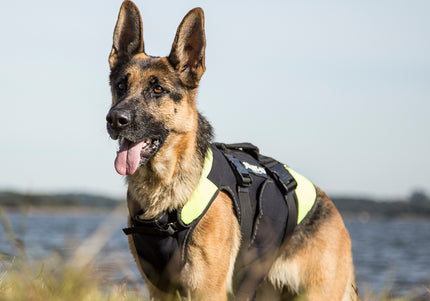 Julius-K9 Multifunctional Neon Vest – Lightweight Swimming and Rehabilitation Support, Size S