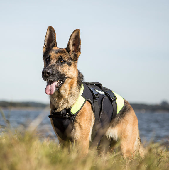 Julius-K9 Multifunctional Neon Vest – Lightweight Swimming and Rehabilitation Support, Size S