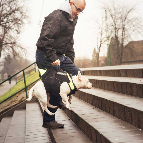 Julius-K9 Multifunctional Neon Vest – Lightweight Swimming and Rehabilitation Support, Size S