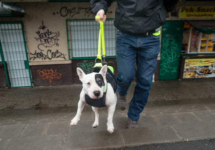 Julius-K9 Multifunctional Neon Vest – Lightweight Swimming and Rehabilitation Support, Size S