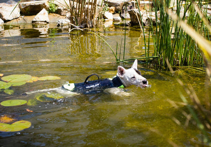 Julius-K9 Multifunctional Neon Vest – Lightweight Swimming and Rehabilitation Support, Size S