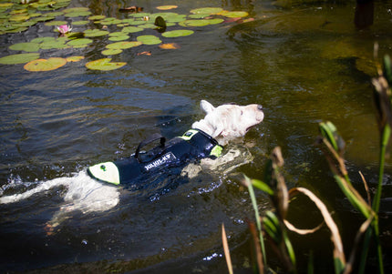 Julius-K9 Multifunctional Neon Vest – Lightweight Swimming and Rehabilitation Support, Size S