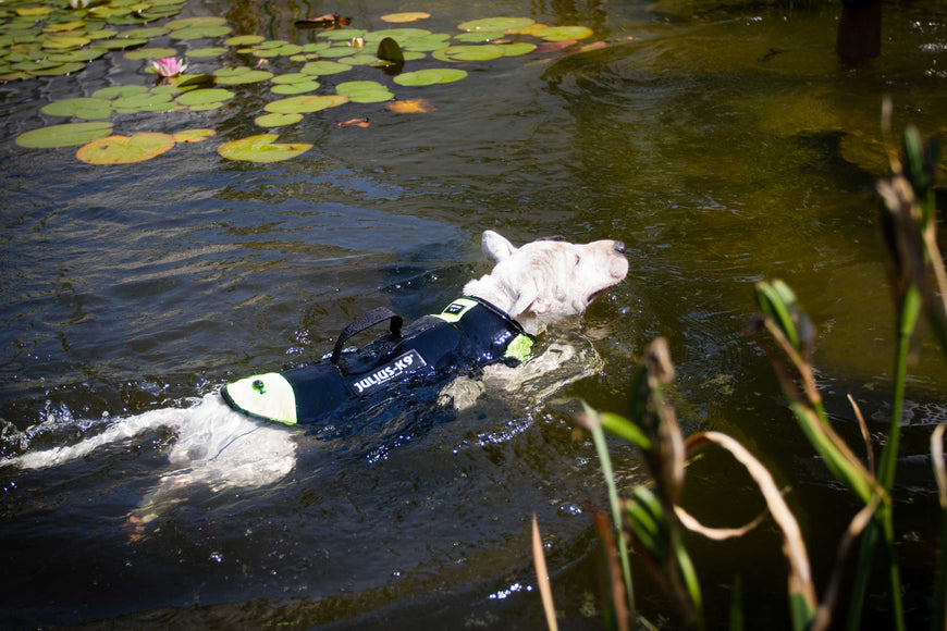 Julius-K9 Multifunctional Neon Vest – Lightweight Swimming and Rehabilitation Support, Size S