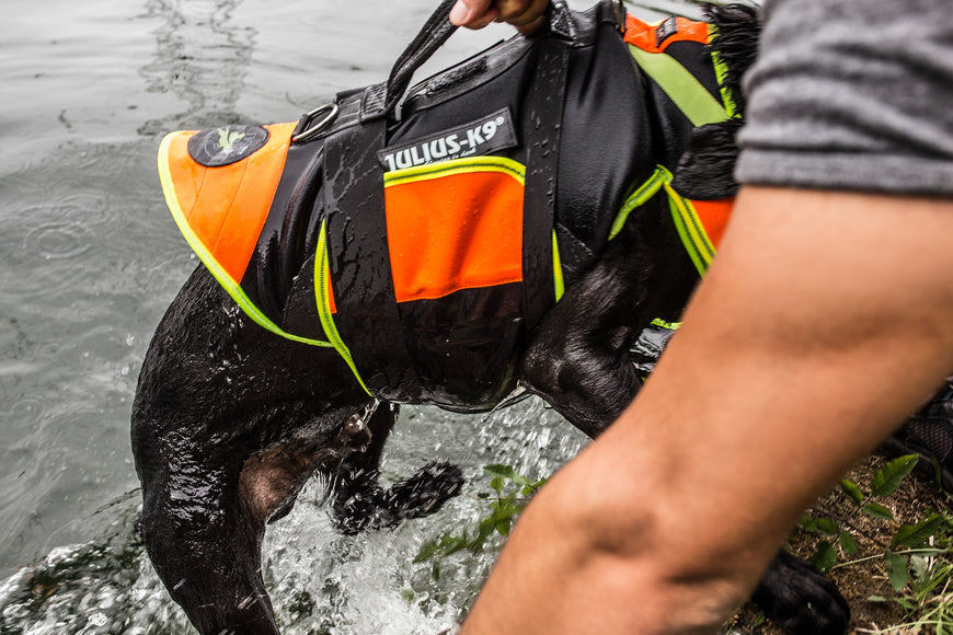 Julius-K9 Multifunctional Orange Vest – Buoyant Supportive Swim and Rehab Aid, Size L