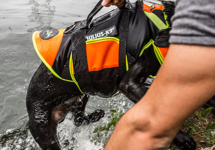 Julius-K9 Multifunctional Orange Vest – Buoyant Supportive Swim and Rehab Aid, Size L