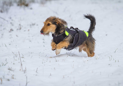 Julius-K9 Multifunctional Neon Vest – Lightweight Swimming and Rehabilitation Support, Size S