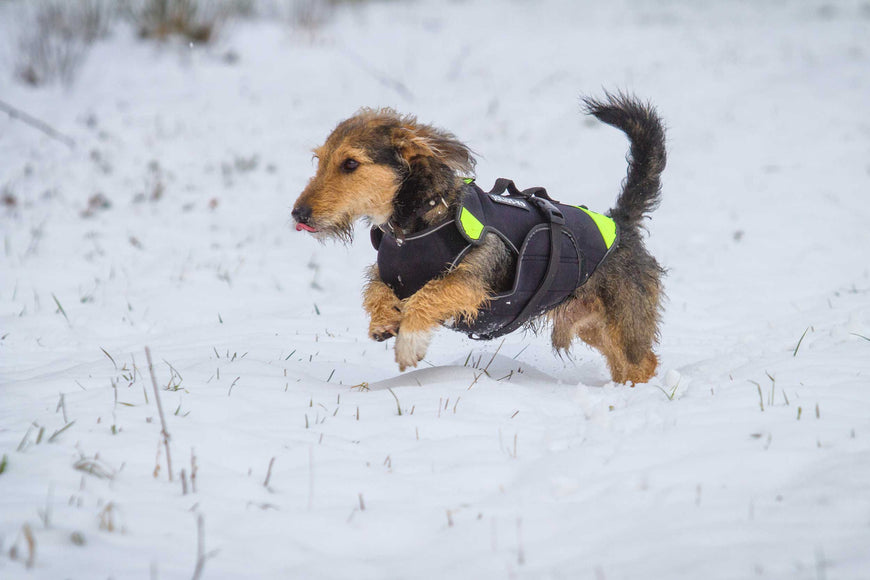 Julius-K9 Multifunctional Neon Vest – Lightweight Swimming and Rehabilitation Support, Size S