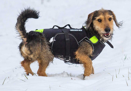 Julius-K9 Multifunctional Neon Vest – Lightweight Swimming and Rehabilitation Support, Size S