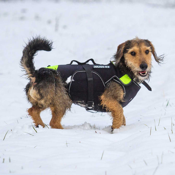 Julius-K9 Multifunctional Neon Vest – Lightweight Swimming and Rehabilitation Support, Size S