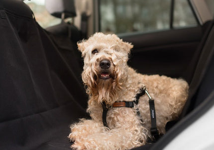 Amiplay Safety Leash XL – Heavy-Duty Lead with Secure Safety Pin Attachment