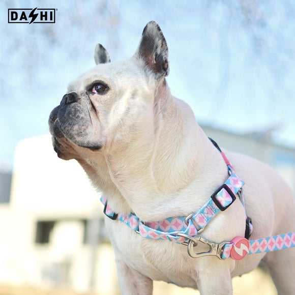 Dashi Coral Front Harness – Norwegian No-Pull Dog Harness, Pink Circle Pattern, Large Size