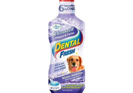 Synergy Labs Dental Fresh Original Formula – Liquid Oral Hygiene Solution, Fast-Acting Breath Freshener