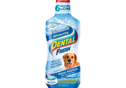 Synergy Labs Dental Fresh Original Formula – Liquid Oral Hygiene Solution, Fast-Acting Breath Freshener