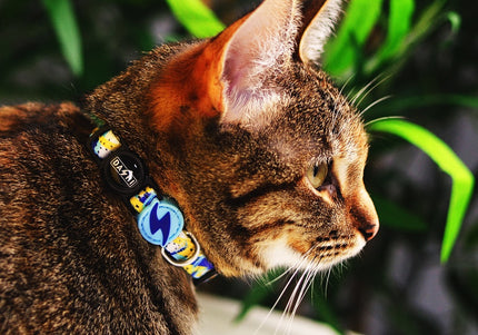 Dashi Nebula Cat Collar – Blue and Yellow Abstract Pattern, Adjustable and Lightweight