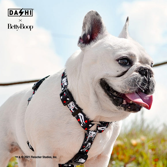 Dashi Classy Betty Back Harness – Adjustable Guard Harness with Betty Boop Pattern, Black, Small