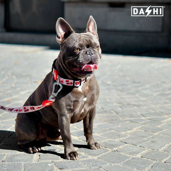 Dashi Tribes Collar – Colorful Patterned Dog Collar with Brave Creatures, Size Small