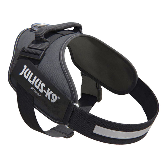 Julius-K9 IDC Powerharness Gray – Premium Adjustable Harness, Mini-Mini Size, Durable Design