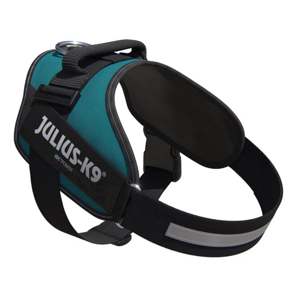 Julius-K9 IDC Powerharness Petrol Green – Top Quality Sea Green Harness, Size 4