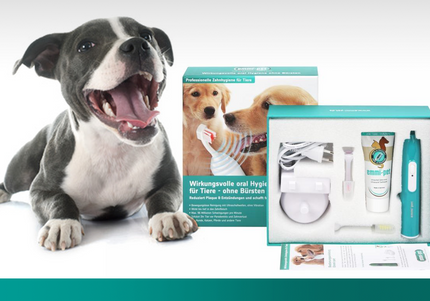 Emmi-Pet Basic Ultrasonic Toothbrush Set – Gentle Dental Care with Advanced Cleaning Technology