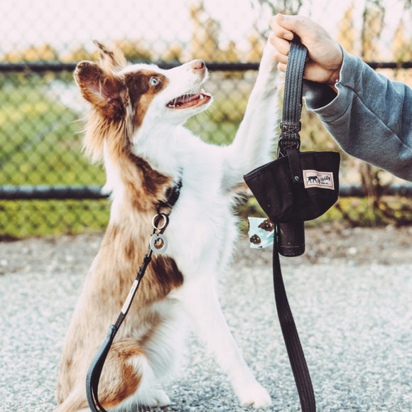 Hamilton Go Boldly Foldable Travel Bowl – Textile, Compact Design, Lightweight and Durable