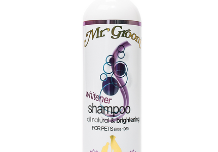 Mr. Groom Whitener Shampoo – Concentrated Color-Enhancing Formula, 355ml Bottle