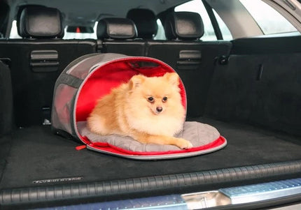 KONG Travel 2-in-1 Carrier and Mat – Versatile Portable Design, 45x28x34cm