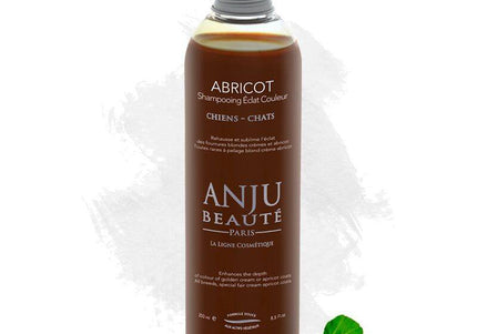 Anju Beaute Abricot Color Intensifying Shampoo – Enhances Creamy Blonde Apricot Coats, 250ml