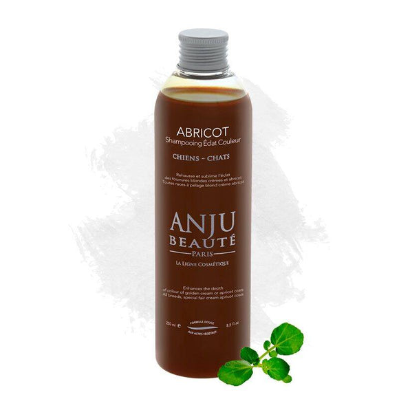 Anju Beaute Abricot Color Intensifying Shampoo – Enhances Creamy Blonde Apricot Coats, 250ml
