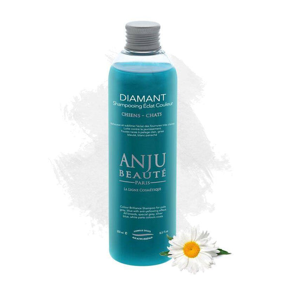 Anju Beaute Diamant Brightening Shampoo – Enhances Natural Coat Color, 250ml Bottle