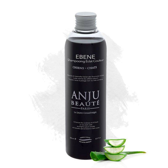 Anju Beaute Ebene Color Intensifying Shampoo – Enhances Black and Dark Coats, 250ml